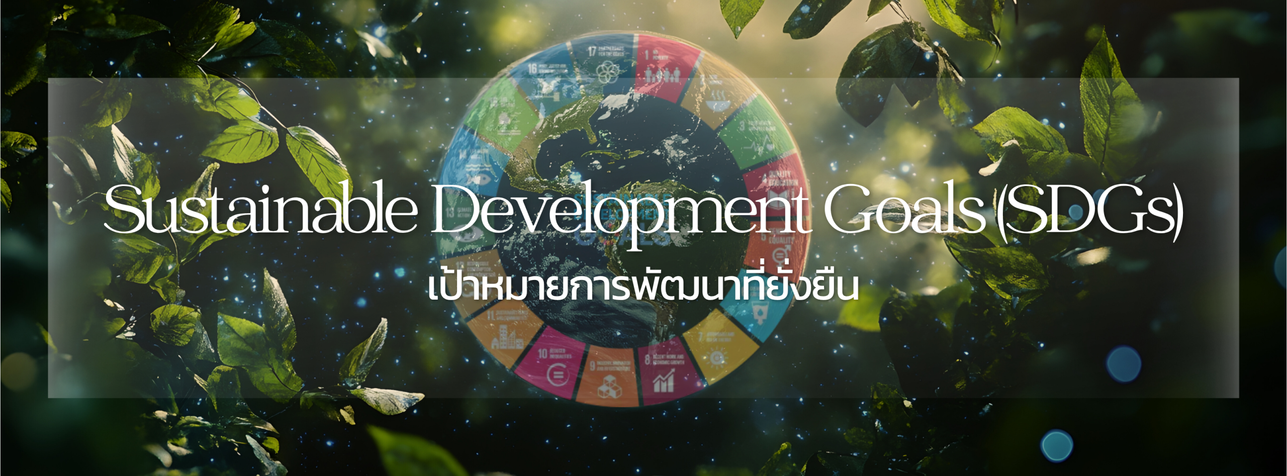 SDGs