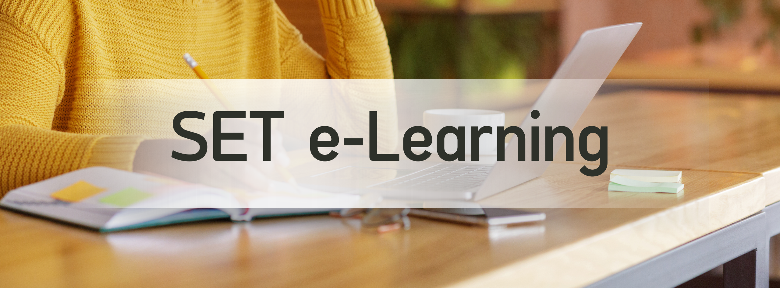 SET e-Learning